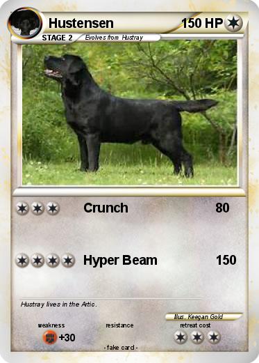 Pokemon Hustensen