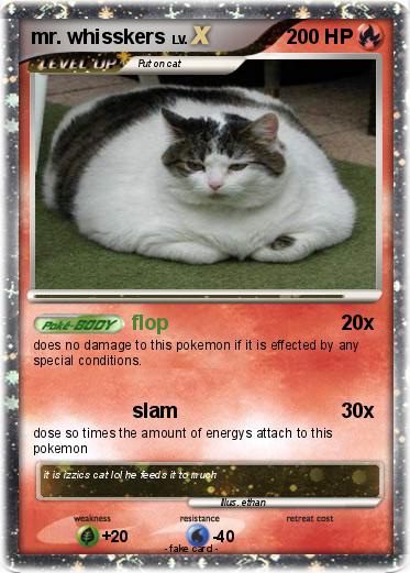 Pokemon mr. whisskers