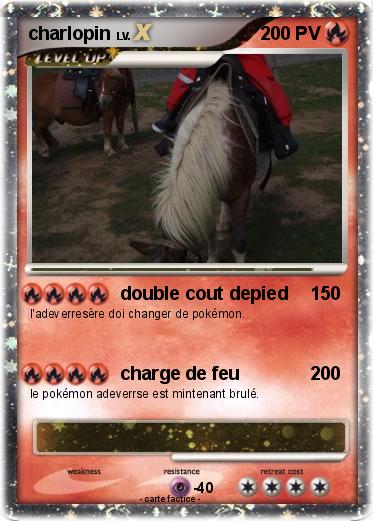 Pokemon charlopin