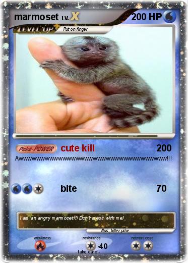 Pokemon marmoset