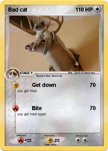 Pokemon Bad cat