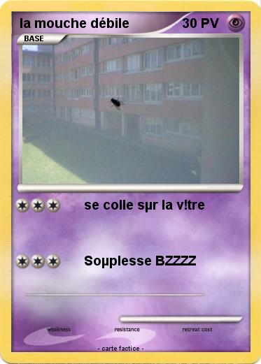 Pokemon la mouche débile