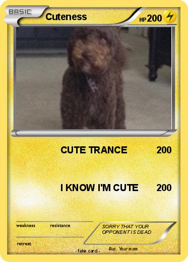 Pokemon Cuteness
