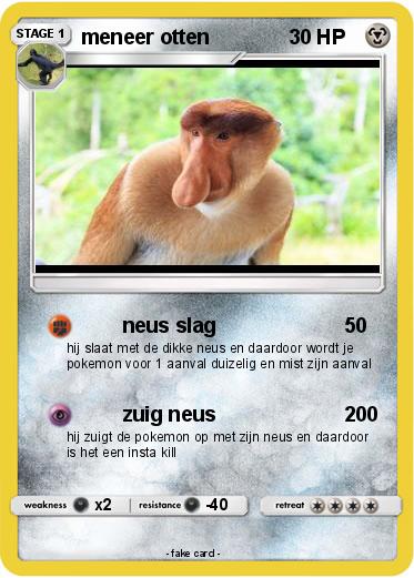Pokemon meneer otten