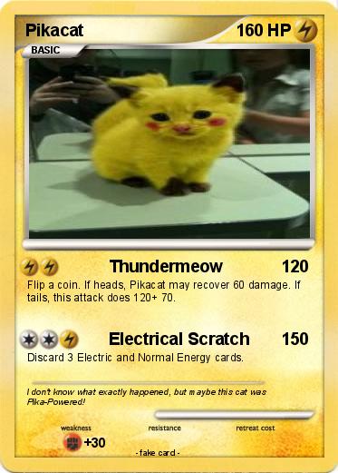 Pokemon Pikacat