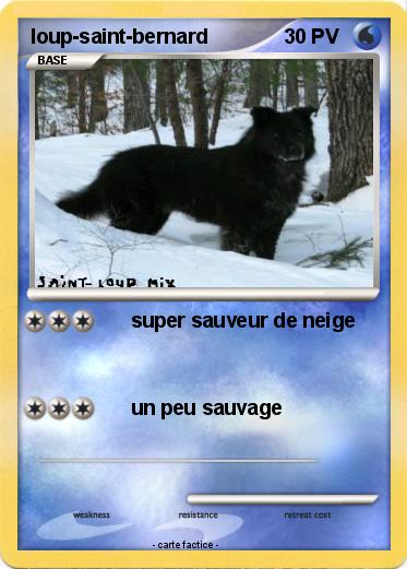 Pokemon loup-saint-bernard