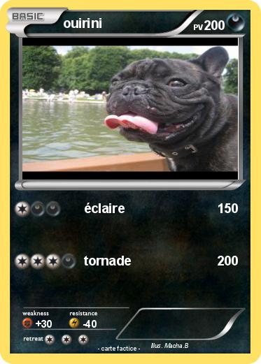 Pokemon ouirini