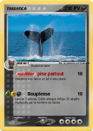 Pokemon maxence