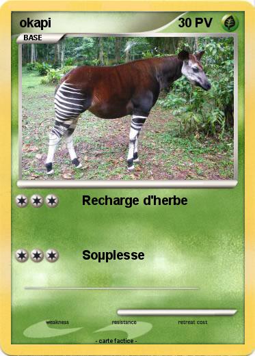 Pokemon okapi