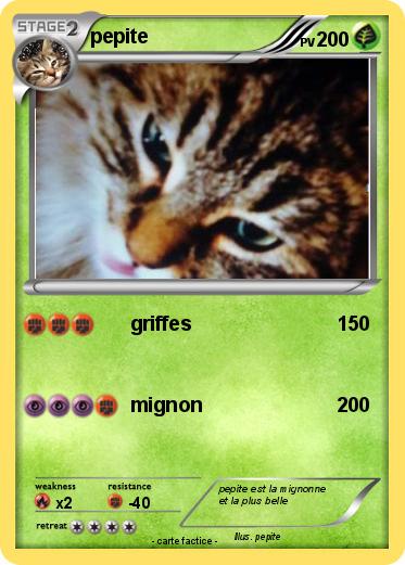 Pokemon pepite