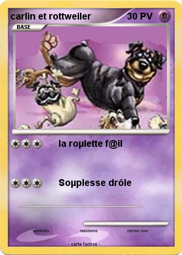Pokemon carlin et rottweiler