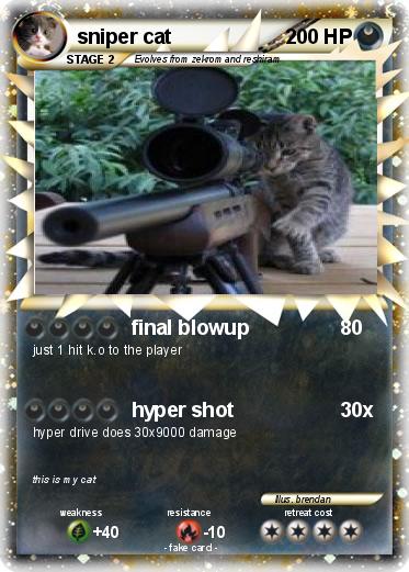Pokemon sniper cat