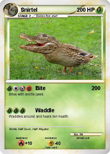 Pokemon Snirtel