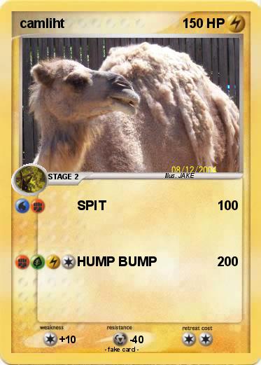 Pokemon camliht