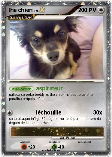 Pokemon the chien