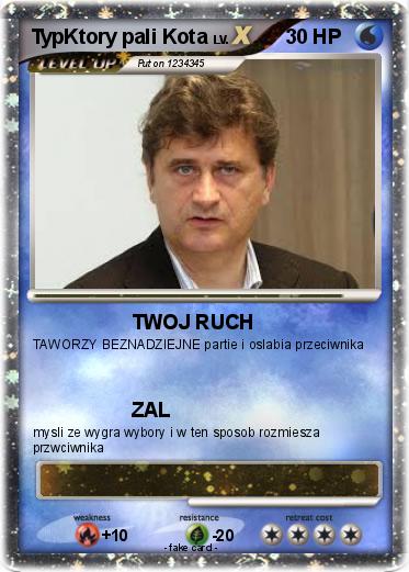 Pokemon TypKtory pali Kota