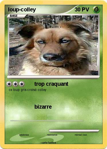 Pokemon loup-colley