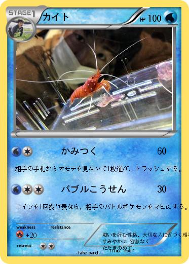 Pokemon カイト