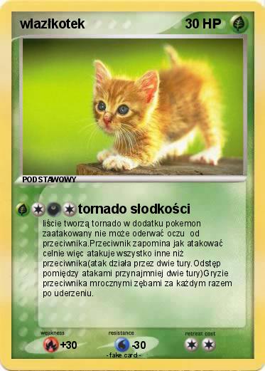 Pokemon wlazłkotek
