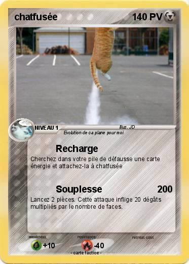 Pokemon chatfusée