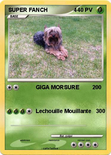 Pokemon SUPER FANCH                 4