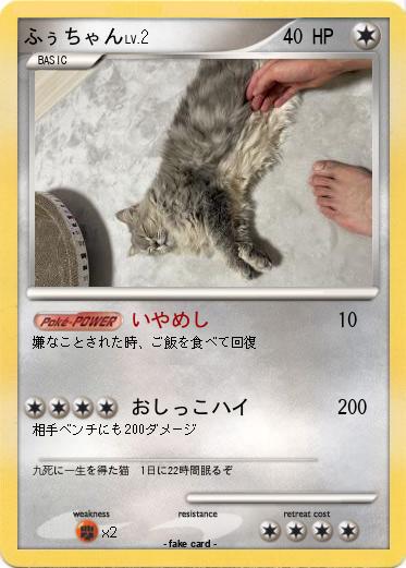 Pokemon ふぅちゃん