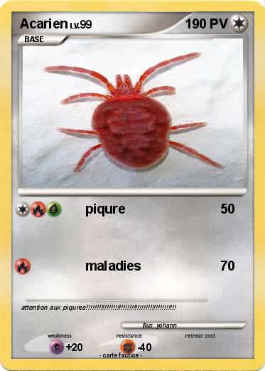 Pokemon Acarien