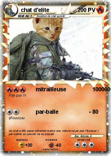 Pokemon chat d'elite