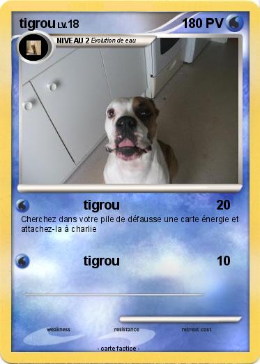 Pokemon tigrou