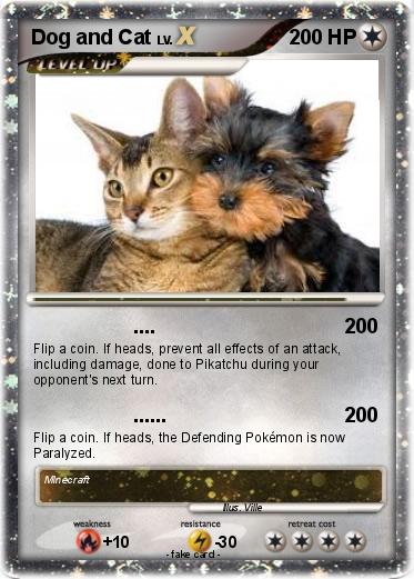 Pokemon Dog and Cat