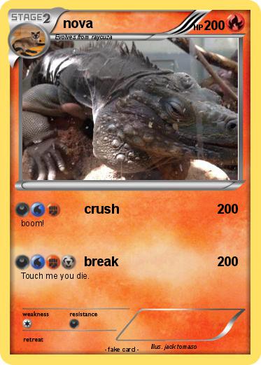 Pokemon nova