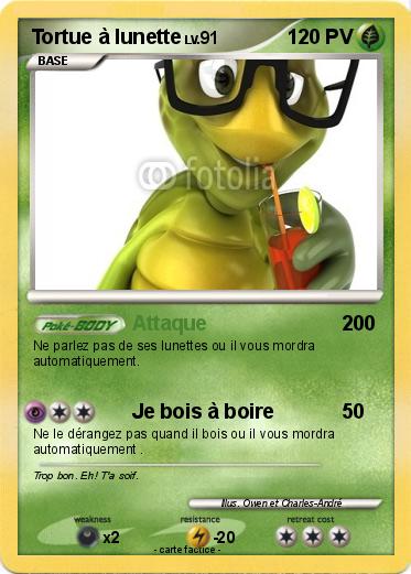 Pokemon Tortue à lunette
