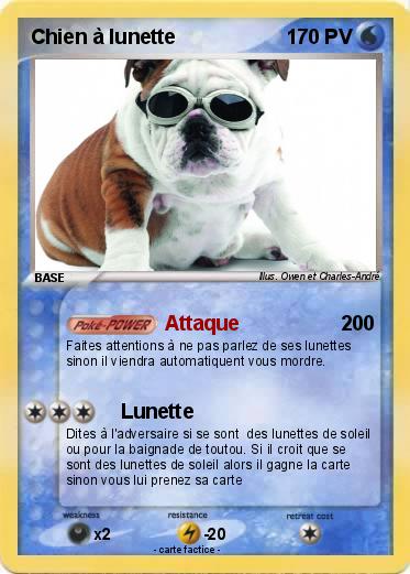 Pokemon Chien à lunette