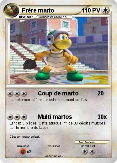 Pokemon Frère marto