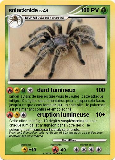 Pokemon solacknide