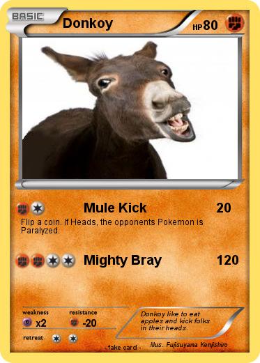 Pokemon Donkoy