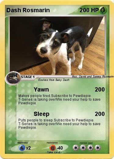 Pokemon Dash Rosmarin