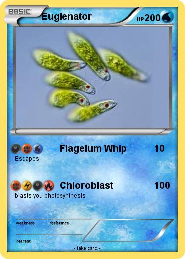 Pokemon Euglenator