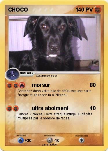 Pokemon CHOCO