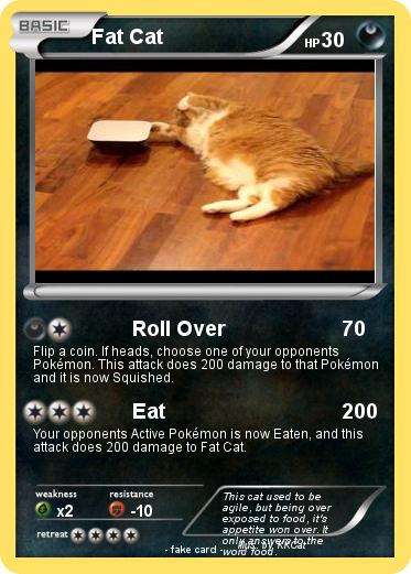 Pokemon Fat Cat