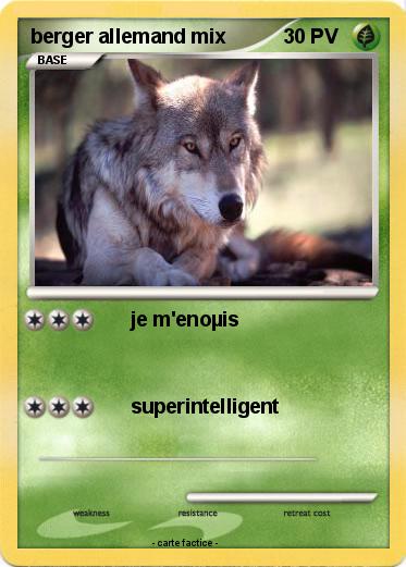 Pokemon berger allemand mix