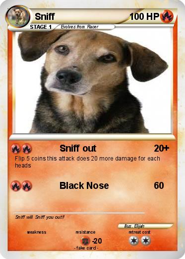 Pokemon Sniff