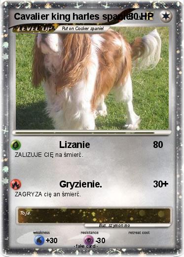 Pokemon Cavalier king harles spaniel