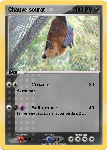 Pokemon Chauve-sourat