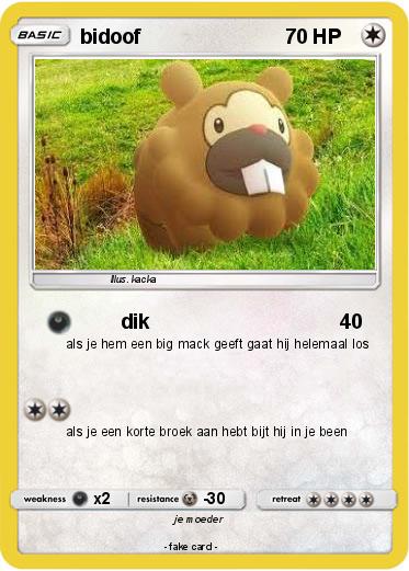 Pokemon bidoof