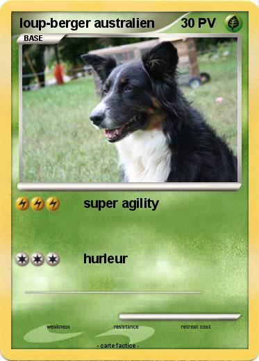 Pokemon loup-berger australien