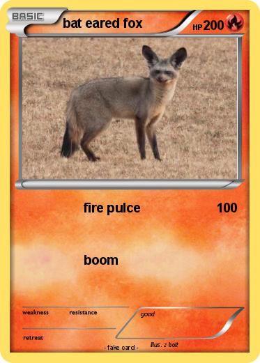 Pokemon bat eared fox