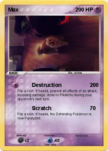 Pokemon Max