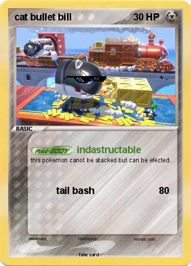 Pokemon cat bullet bill