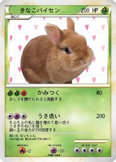 Pokemon きなこパイセン